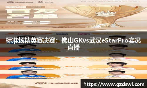 标准场精英赛决赛：佛山GKvs武汉eStarPro实况直播