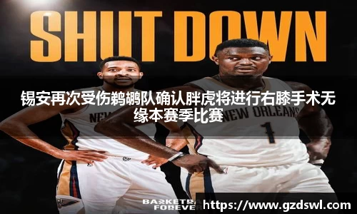 锡安再次受伤鹈鹕队确认胖虎将进行右膝手术无缘本赛季比赛